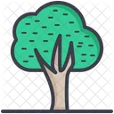 Arbol Roble Arbusto Icono