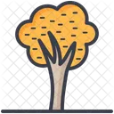 Arbol Roble Arbusto Icono