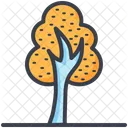 Arbol Roble Arbusto Icono