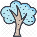 Arbol Roble Arbusto Icono