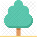 Árbol  Icono