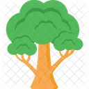 Arbol Arbusto Naturaleza Icono