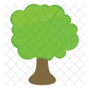 Naturaleza Planta Arbol Icono