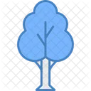 Arbol Naturaleza Bosque Icon