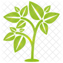 Arbol Ecologia Planta Icon