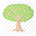 Arbol Icono