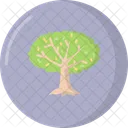 Arbol Icono