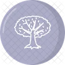 Arbol Icono