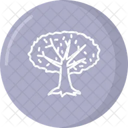 Árbol  Icono