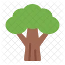 Arbol Verde Naturaleza Icono