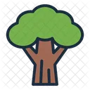 Arbol Verde Naturaleza Icono