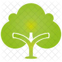 Arbol Planta Verde Icon