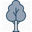 Arbol Naturaleza Bosque Icon