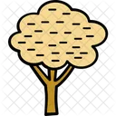 Arbol Roble Arbusto Icono