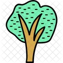 Arbol Roble Arbusto Icono