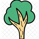 Arbol Roble Arbusto Icono