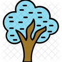 Arbol Roble Arbusto Icono