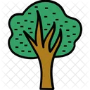 Arbol Roble Arbusto Icono