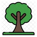 Arbol Icono