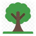 Arbol Icono