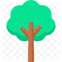 Arbol Naturaleza Ecologia Icono