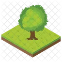 Árbol  Icon