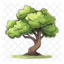 Arbol Naturaleza Planta Icono