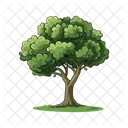 Arbol Naturaleza Planta Icono