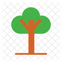 Árbol  Icono