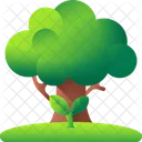 Arbol Icono