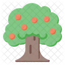 Árbol  Icono