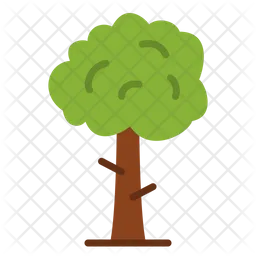 Árbol  Icon