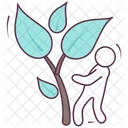 Naturaleza Planta Arbol Icono