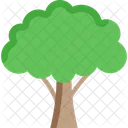 Arbol Arbol Bosque Icon