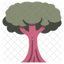 Arbol Bosque Arbol Grande Icono