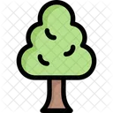 Árbol  Icono