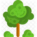 Árbol  Icono