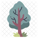 Arbol Jardin Naturaleza Icono