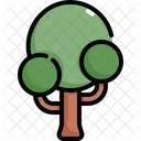 Árbol  Icono