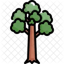 Árbol  Icono