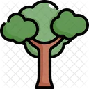 Árbol  Icono