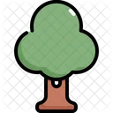 Árbol  Icono