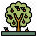 Arbol Fruta Naturaleza Icono
