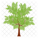 Arbol Frutal Arbol Silvestre Arbusto Icono