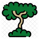 Arbol Naturaleza Planta Icono