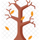 Árbol  Icono