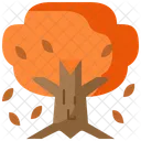 Temporada De Otono Otono Arbol Icono