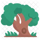 Arbol Naturaleza Paisaje Icono