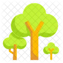 Arbol Botanica Naturaleza Icono
