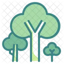 Arbol Botanica Naturaleza Icon